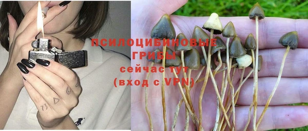 первитин Приозерск